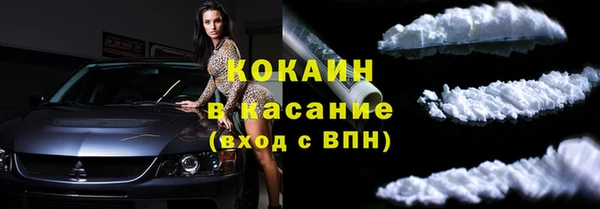 трава Аркадак