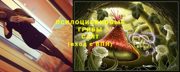 дмт Балахна