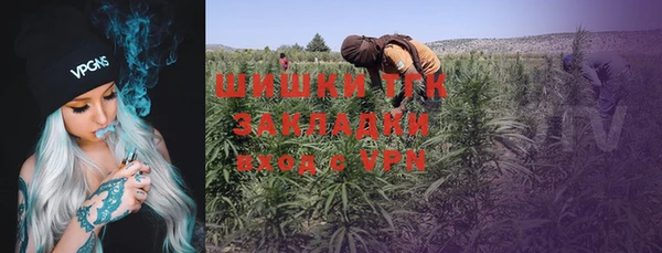 дмт Балахна